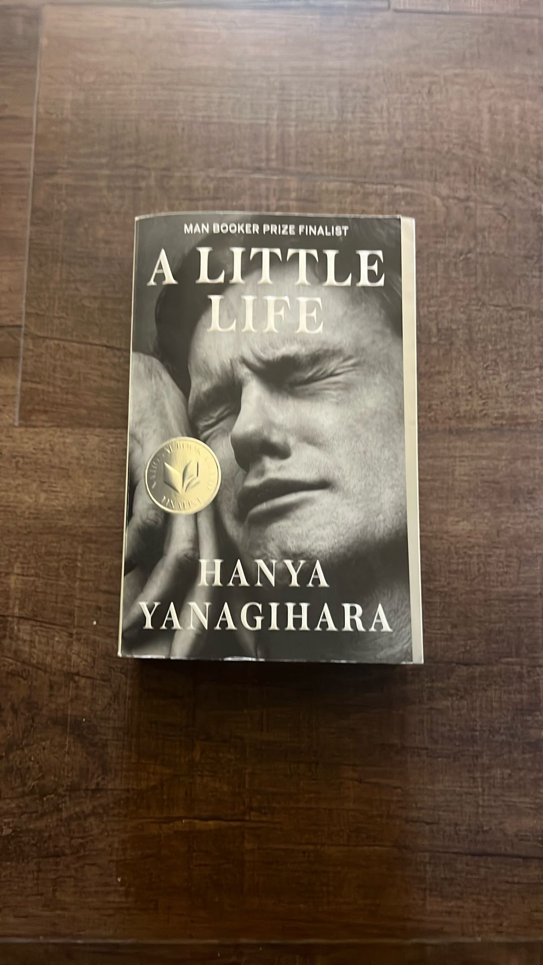 A Little Life Book