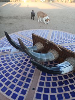 Bull horn decoration
