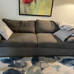 Sofa Couch + Free 8 X 10 Rug $20