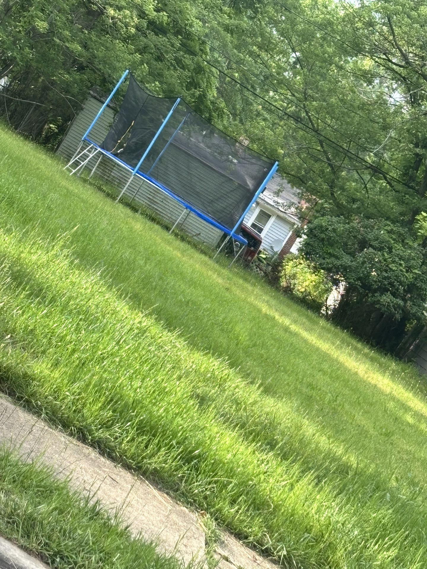 Trampoline