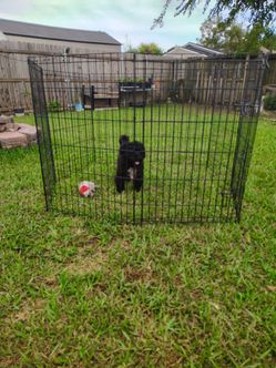 Used Foldable Indoor/Outdoor Pet Exercise Pen,