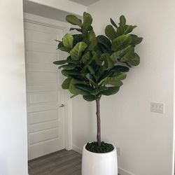 8 feet faux fiddle leaf fig tree in a white pot
