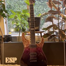 ESP E-II M-II NT 7 String