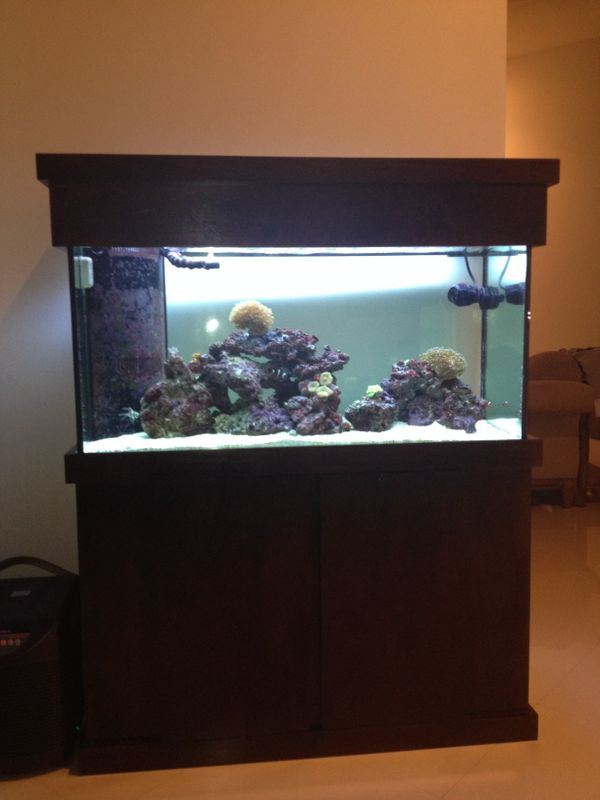 New 90 Gallon Fish Tank Aquarium Complete for Sale in Fort Lauderdale