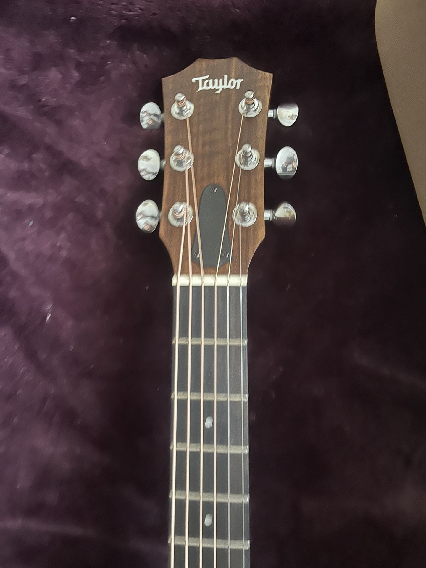 Mini Taylor Guitar