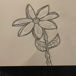 Handmade Flower Pencil Drawing New 