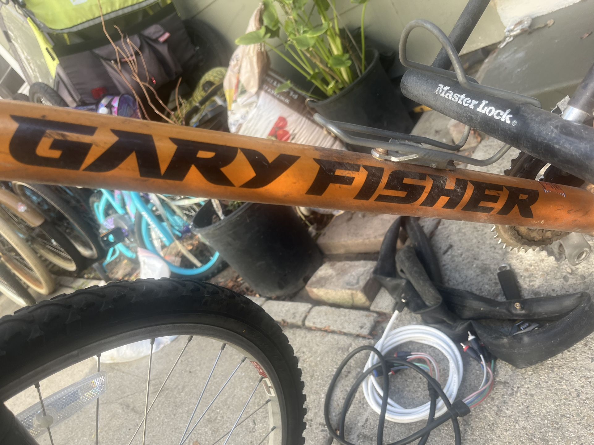 Male Mountain Bike