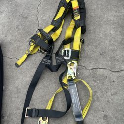 Guardian Harness 