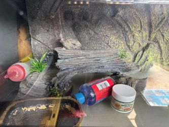 Reptile enclosure