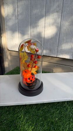 Halloween decoración.