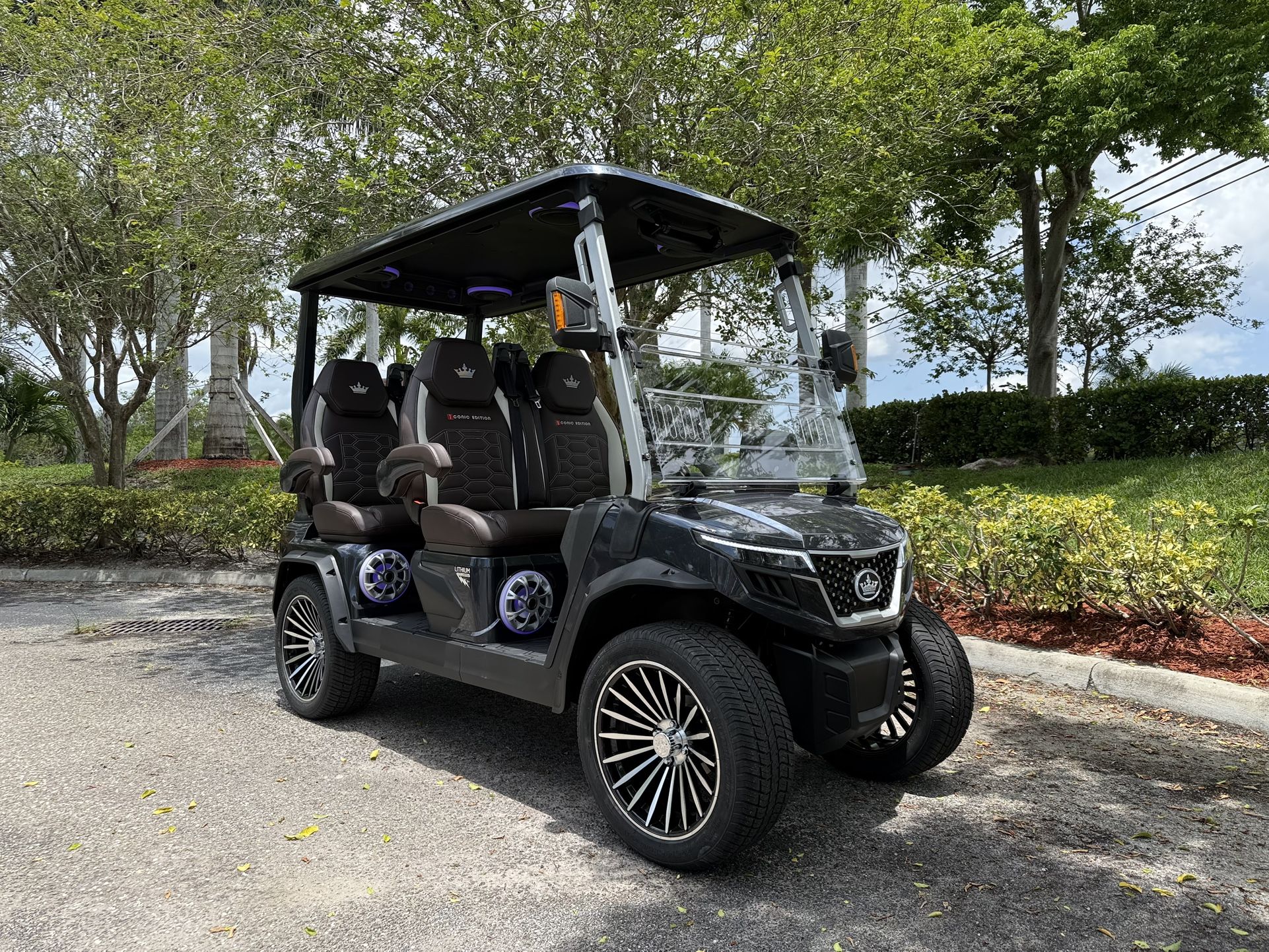 New Lithium Golf Cart