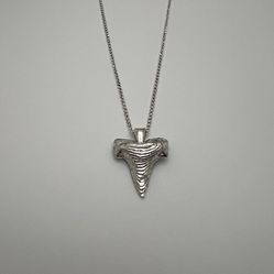Silver Shark Tooth Necklace