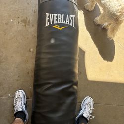 Everlast Boxing Bag 120lb