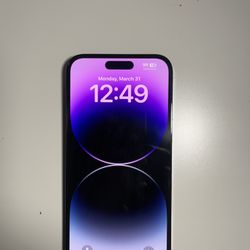 Deep Purple iPhone 14 Pro Max