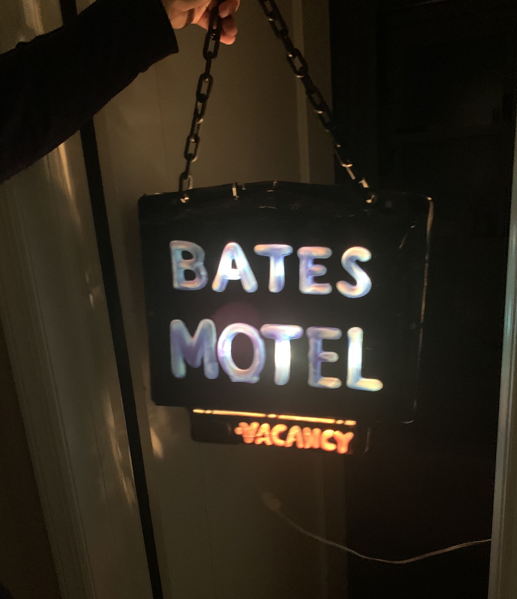 Halloween Light Up Decor