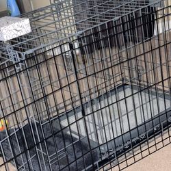 Potty Training Puppy Apartment(PTPA)