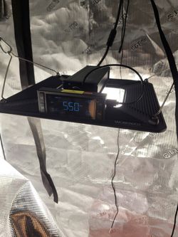 Grow Light