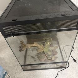Reptile Enclosure Terrarium