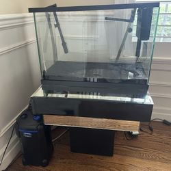 25 Gallon Fish Tank With Filter 
