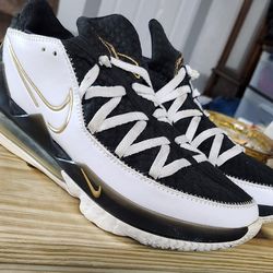 Nike LeBron 17
