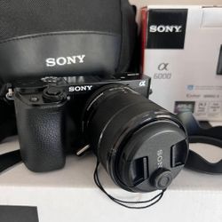 Sony A6600 