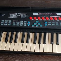 Electric Music Organ Works Great please See Pictures