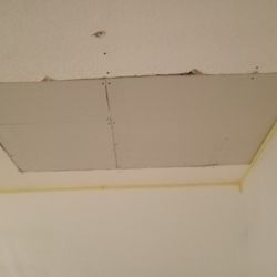 Patches Textures Paint 