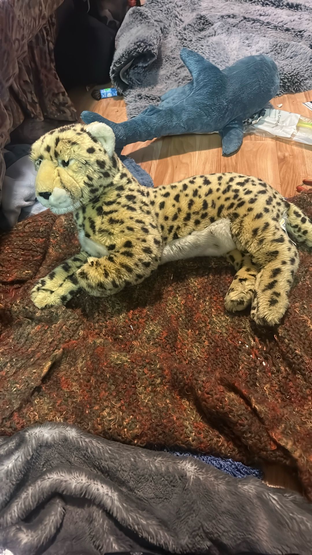 National Geographic cheetah