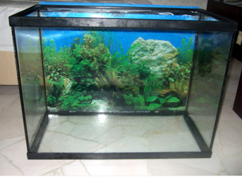 Aquarium