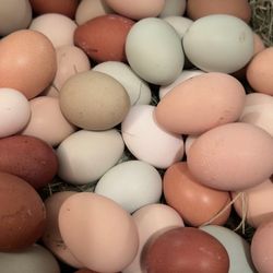 Organic eggs
