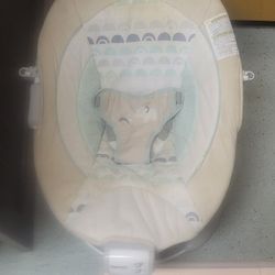 Baby Bouncer