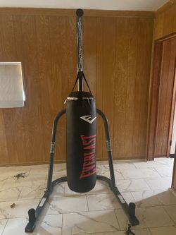 Everlast Punching Bag
