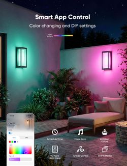 Smart Outdoor Wall Lights, 2 Pack