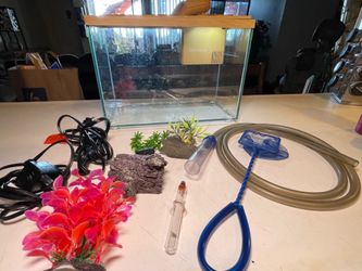 Fish tank with accessories