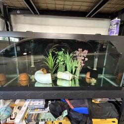 75 Gallon Fish Tank