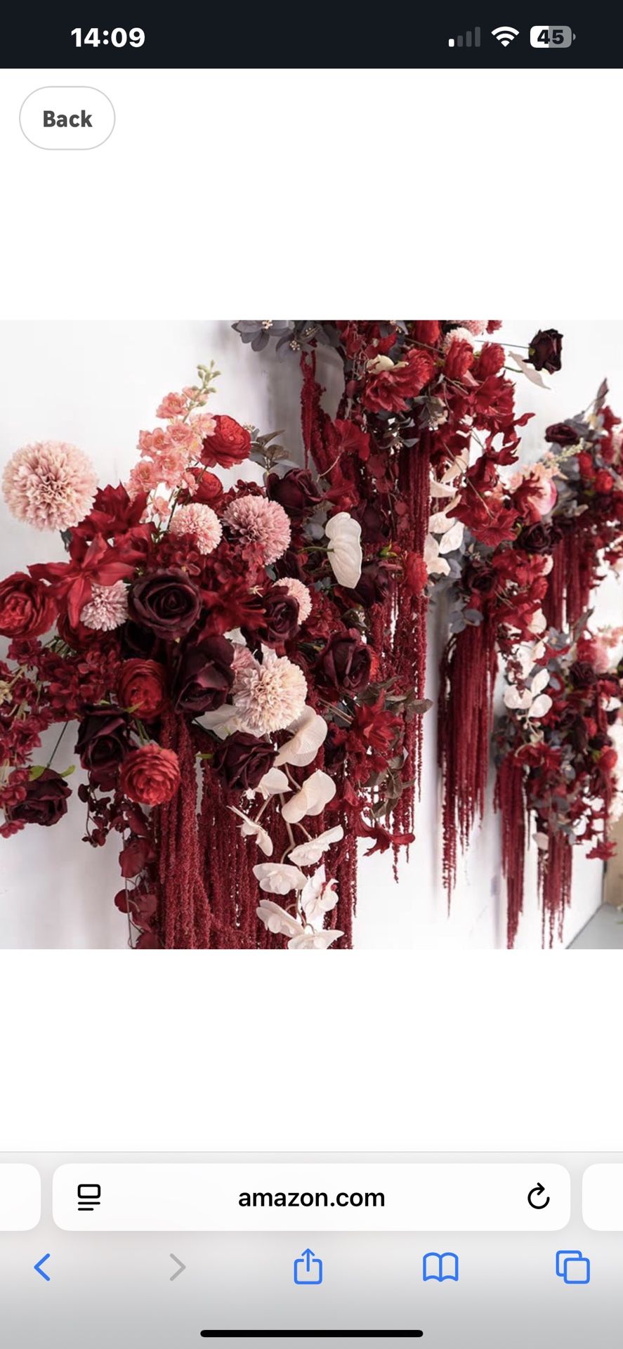 Amaranthus flower Preserved Hanging Flowers Red Burgundy (10 Total Pieces)