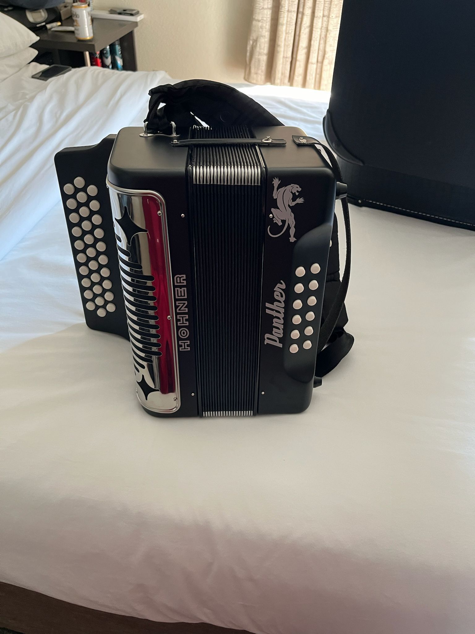 Horner Acordeón/ Accordion 🪗