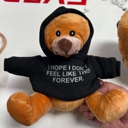 Get Some Sleep Teddy Bear Collectible Plush w/ Removable Hoodie