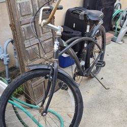 Phat Bicycle-beach cruiser