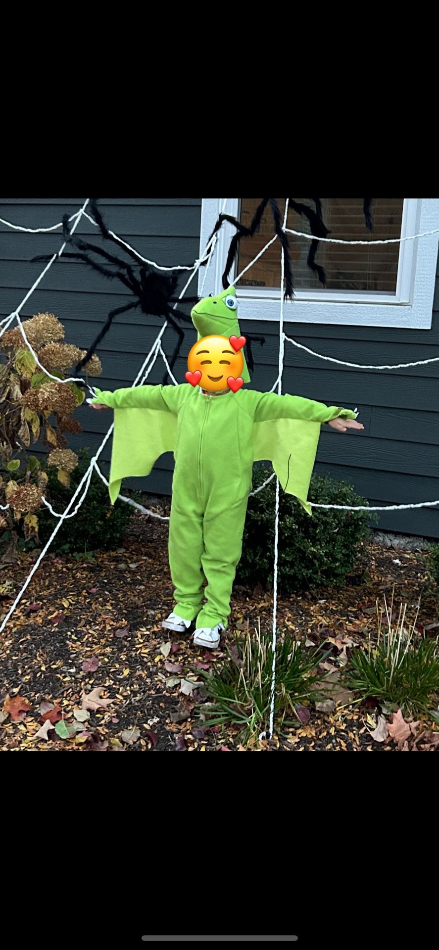 Dino Train Costume