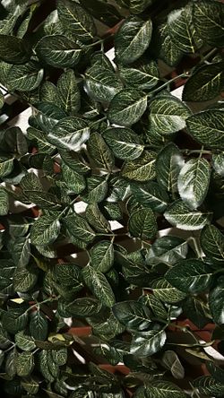 9 Ft expandable Foliage panel.