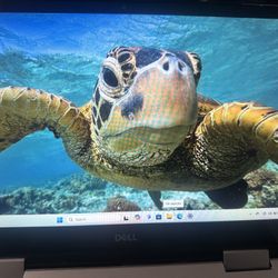 ***LIKE NEW***DELL INSPIRON 5591 2-in-1 Touchscreen***