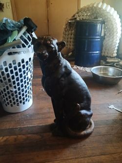 Antique cheetah about 30 in tall