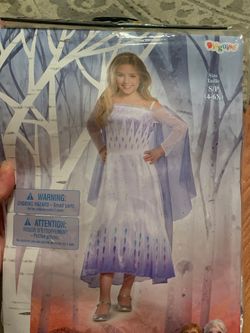 Frozen costume