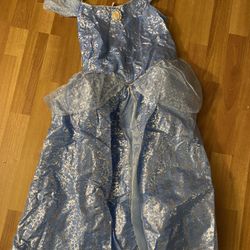 Cinderella Costume