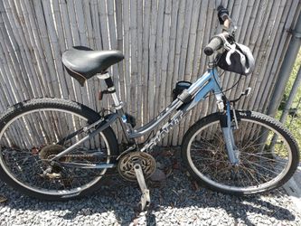 Giant and trex bikes