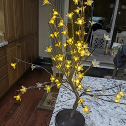 Cherry Blossom Light 