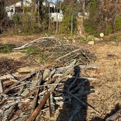 Free Wood/logs/sticks