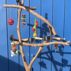 Simple Parrot Perch Tree … Hard Durable Ribbon Wood 🪵, Lasts For Years, Fits Almost Anywhere !! 