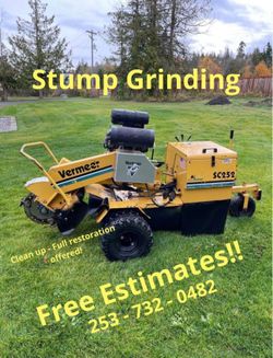 Stump Grinding 